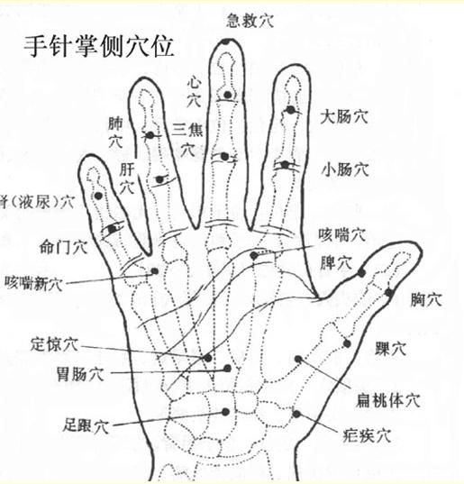 上中下人口手_上中下人口手相应的汉字有哪些 人口什么字