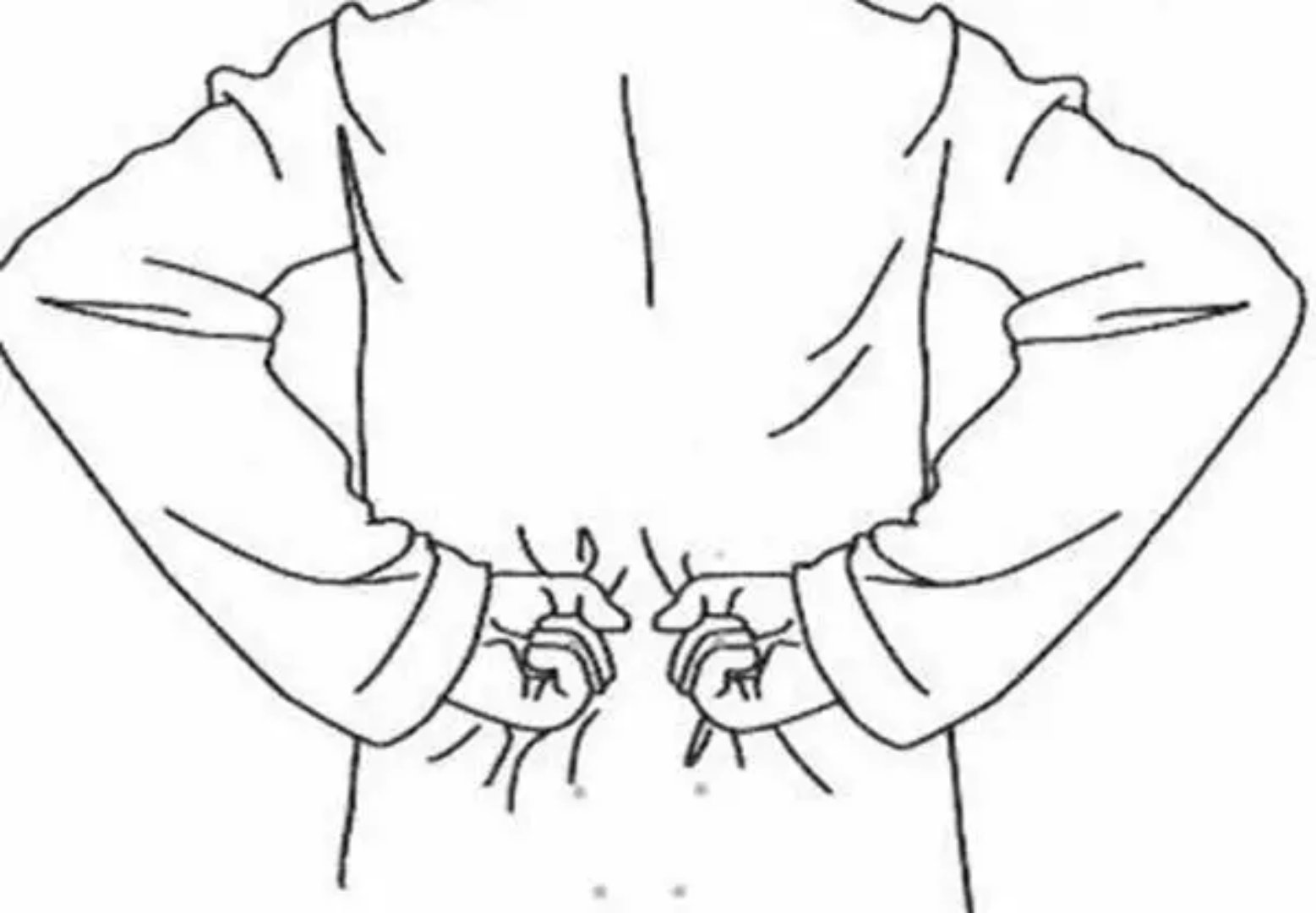 人的腰子位置示意图-图库-五毛网